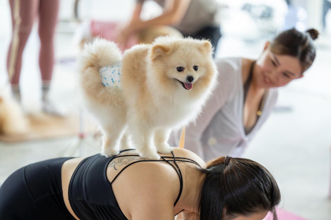 Paws and Flow Doga Yoga session
